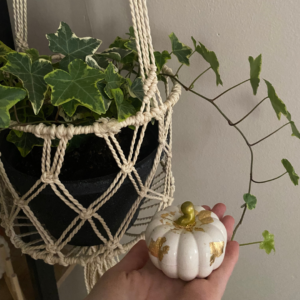 Small pumpkin decor