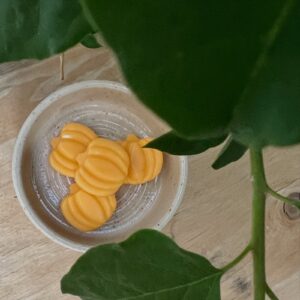 Pumpkin wax melts